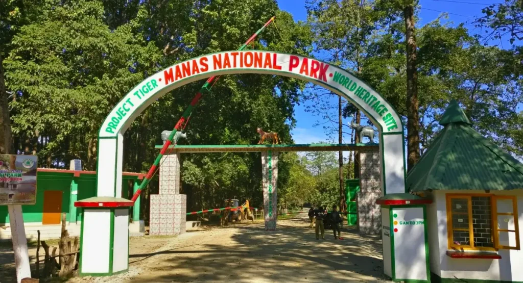 manas national park