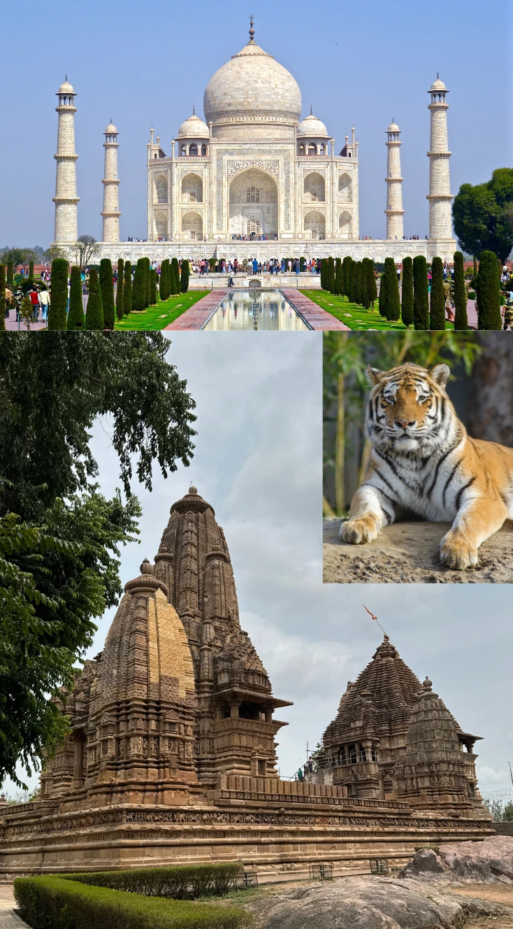 taj mahal in agra, khajurajo temple in panna madhya pradesh, indian tiger