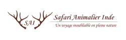 Safari logo