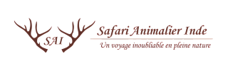 Safari logo